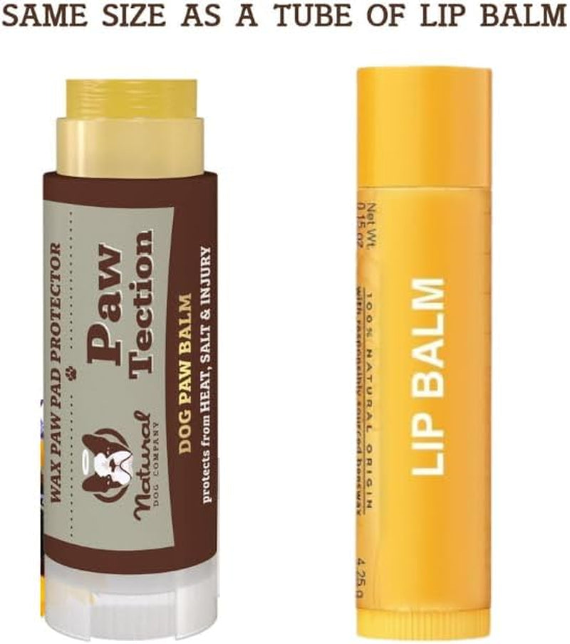Pawtection Dog Paw Balm, Protects Paws from Hot Surfaces, Sand, Salt, & Snow, Organic, All Natural Ingredients