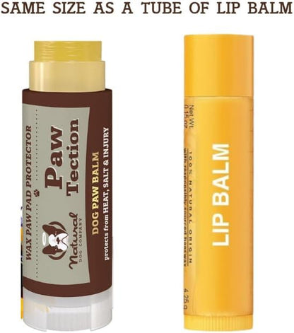 Pawtection Dog Paw Balm, Protects Paws from Hot Surfaces, Sand, Salt, & Snow, Organic, All Natural Ingredients