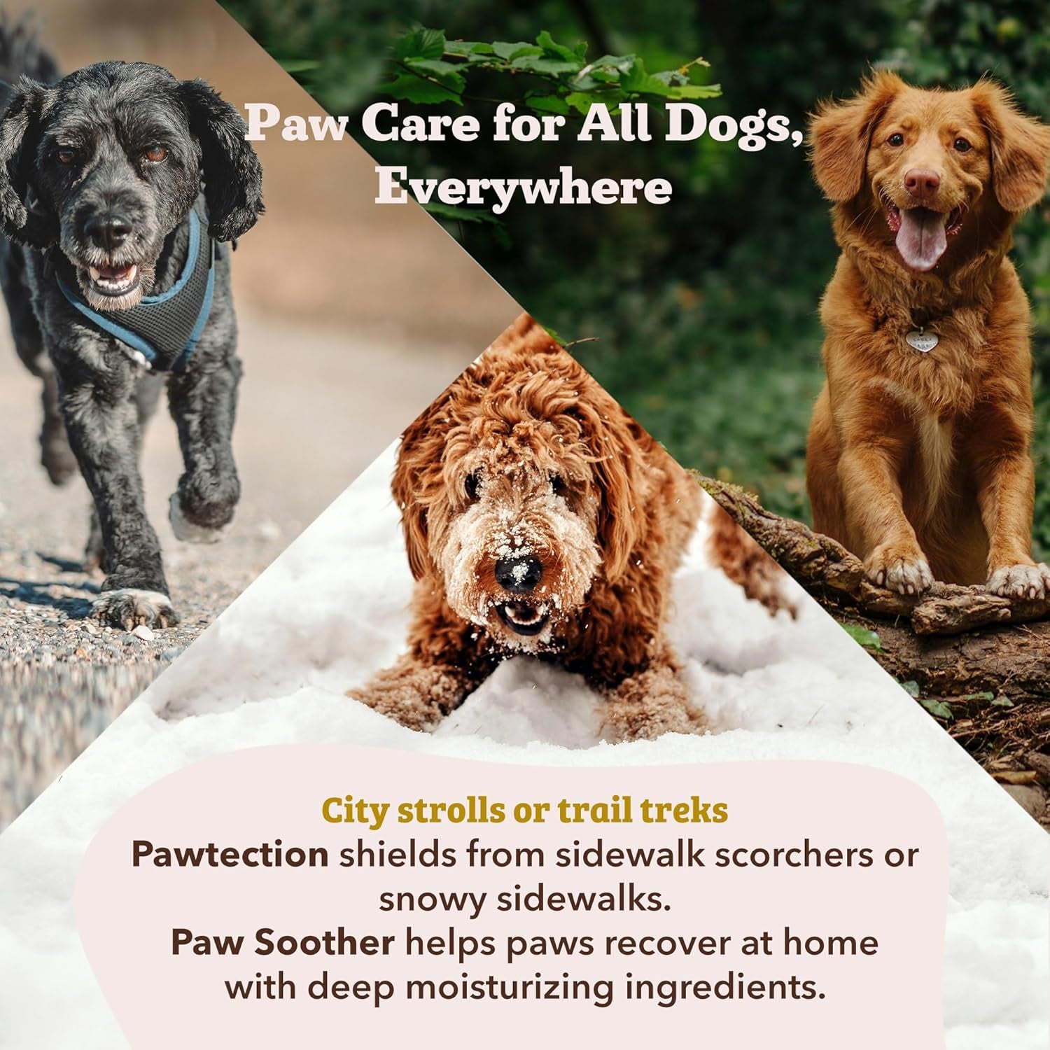 Pawtection Dog Paw Balm, Protects Paws from Hot Surfaces, Sand, Salt, & Snow, Organic, All Natural Ingredients